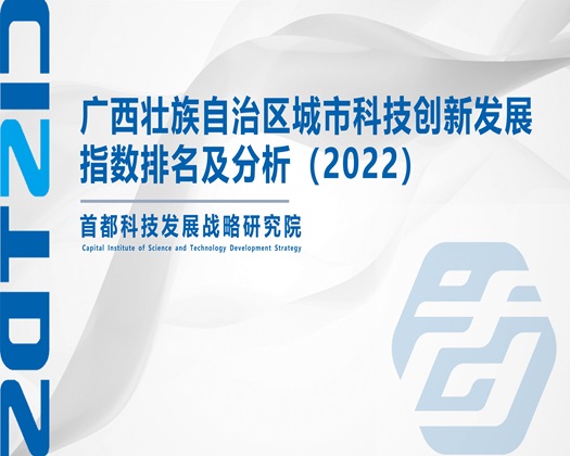 骚女人操逼【成果发布】广西壮族自治区城市科技创新发展指数排名及分析（2022）